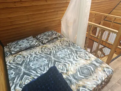 کلبه یک خوابه سوئیسی باغ سبز