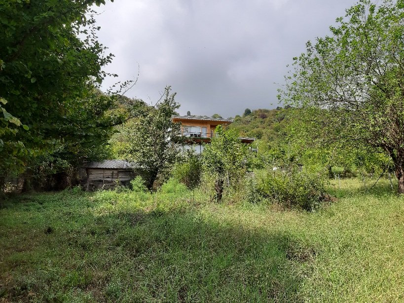 کلبه یک خوابه چوبی بام سبز 3