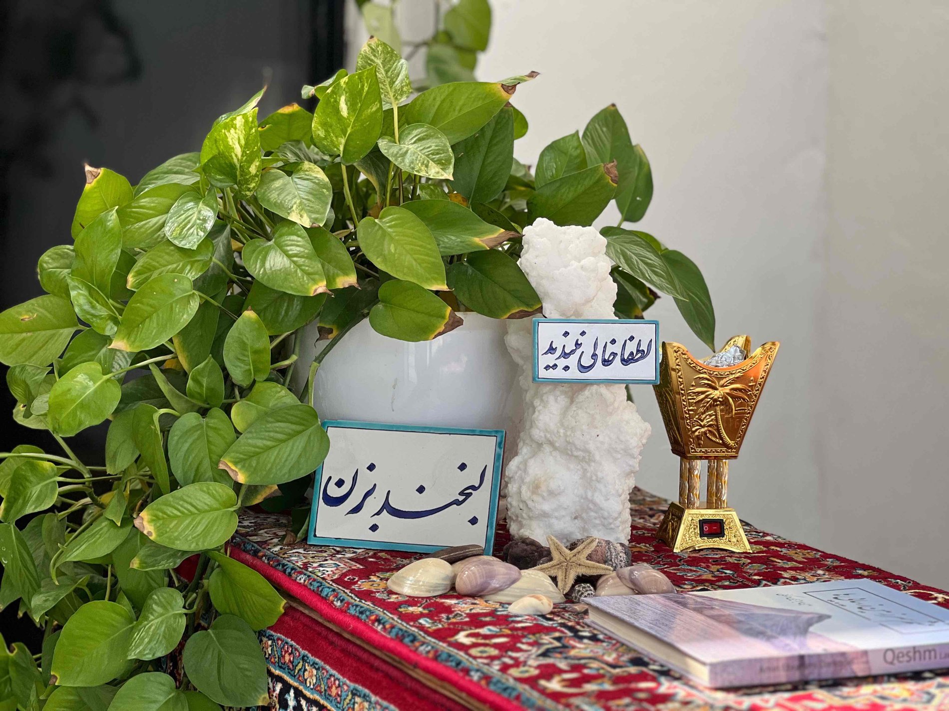 بوم گردی مدیترانه سمیره - واحد ۵