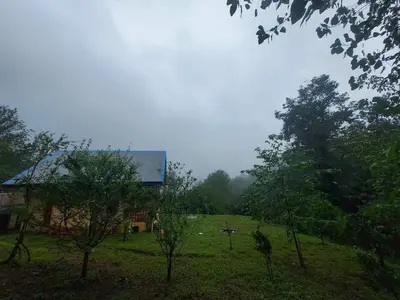 کلبه یک خوابه جنگلی جینگه