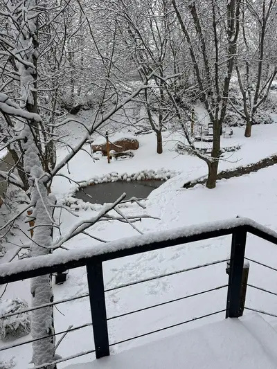 کلبه دوخوابه جنگلی دوبلکس تیکال