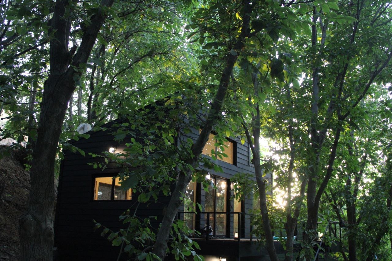 دوخوابه جنگلی تیکال