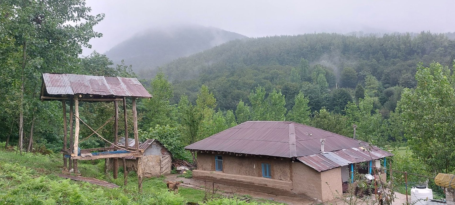 کلبه یک خوابه کوه دشت