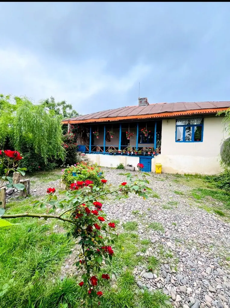 کلبه یک خوابه ویدار