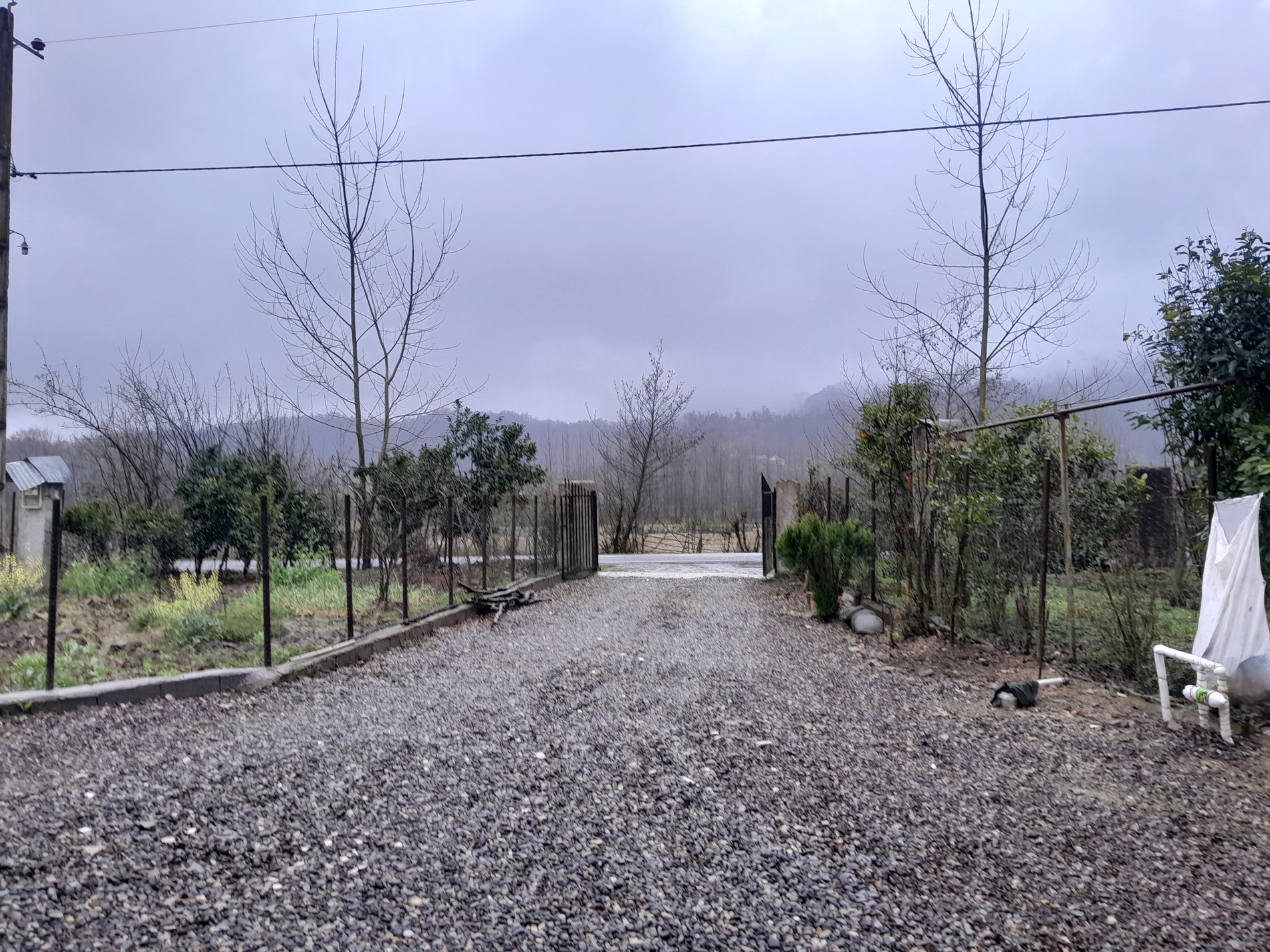 سوئیت فلت انصاری