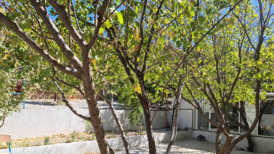 دوخوابه میانتگ