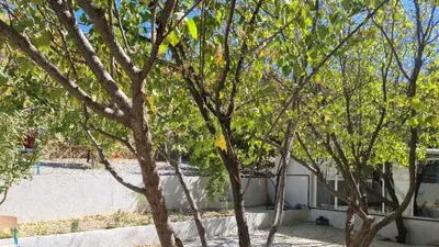 ویلا دوخوابه میانتگ