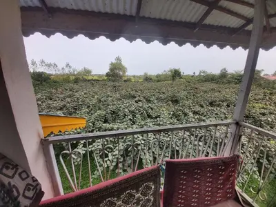 سوئیت فلت جهانی 1