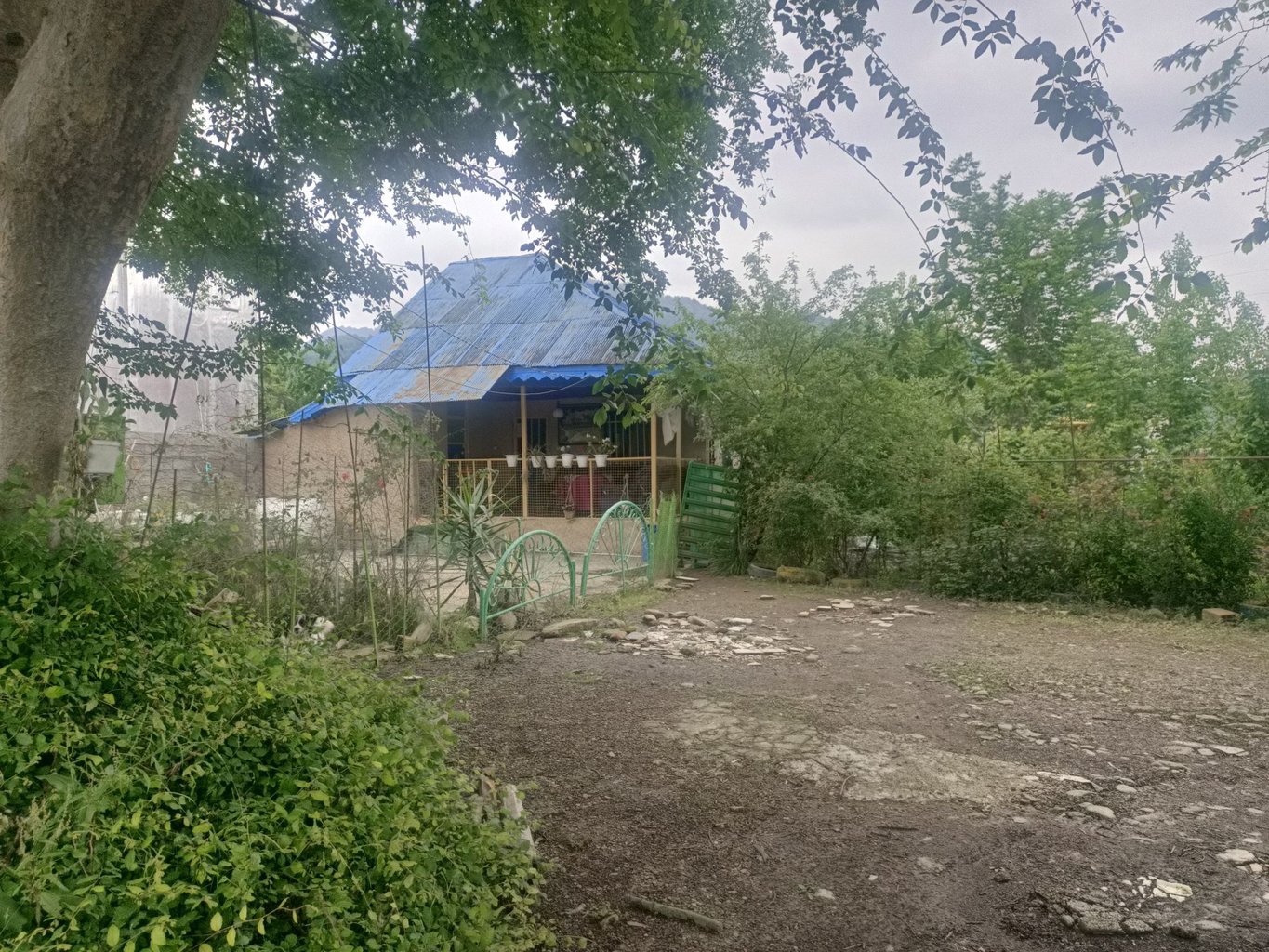 سوئیت فلت محمدزاده