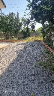 ویلا دوخوابه نیلوفر11