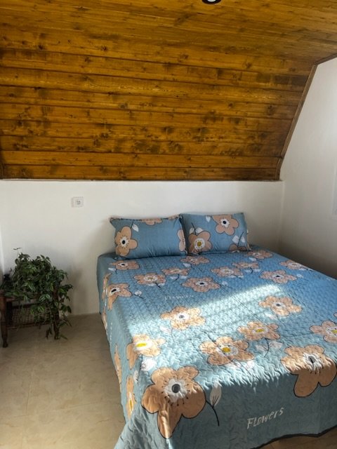 کلبه دوخوابه سوئیسی نویان