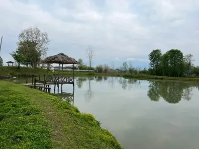 کلبه یک خوابه روستایی دو درخت