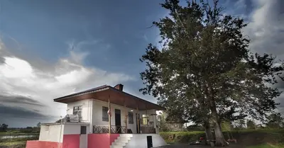 کلبه یک خوابه روستایی دو درخت