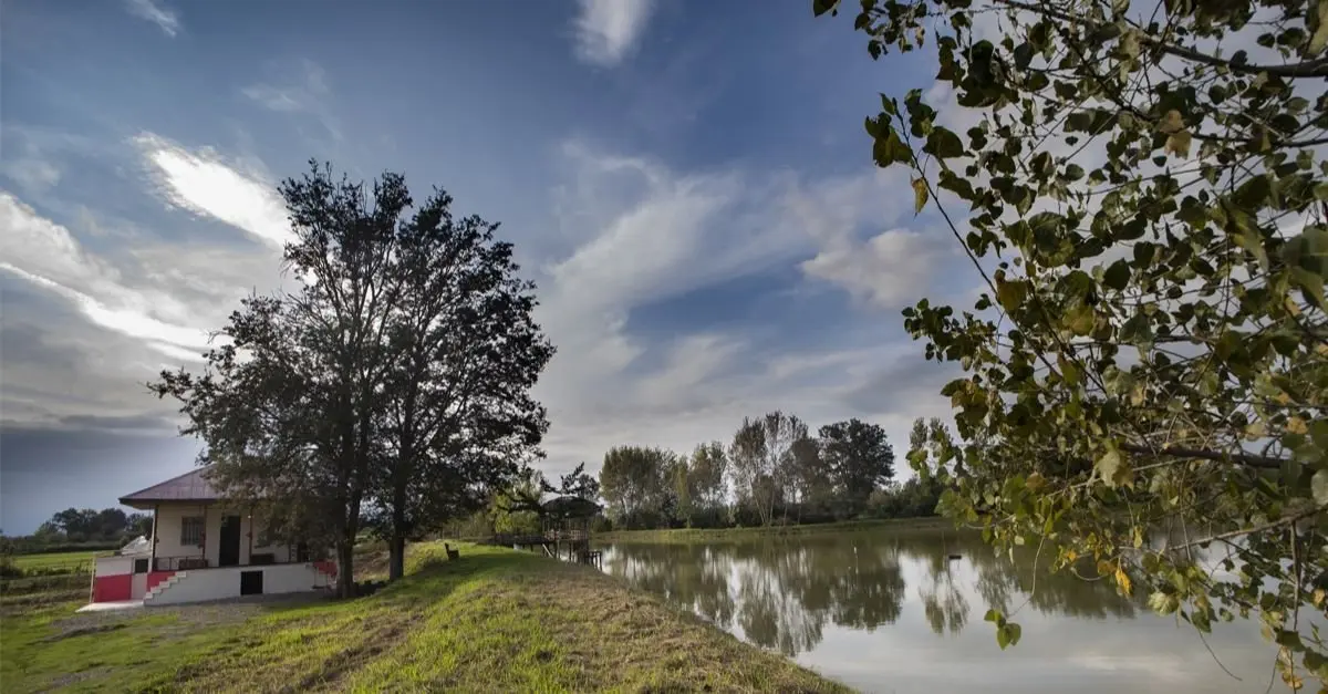 کلبه یک خوابه روستایی دو درخت