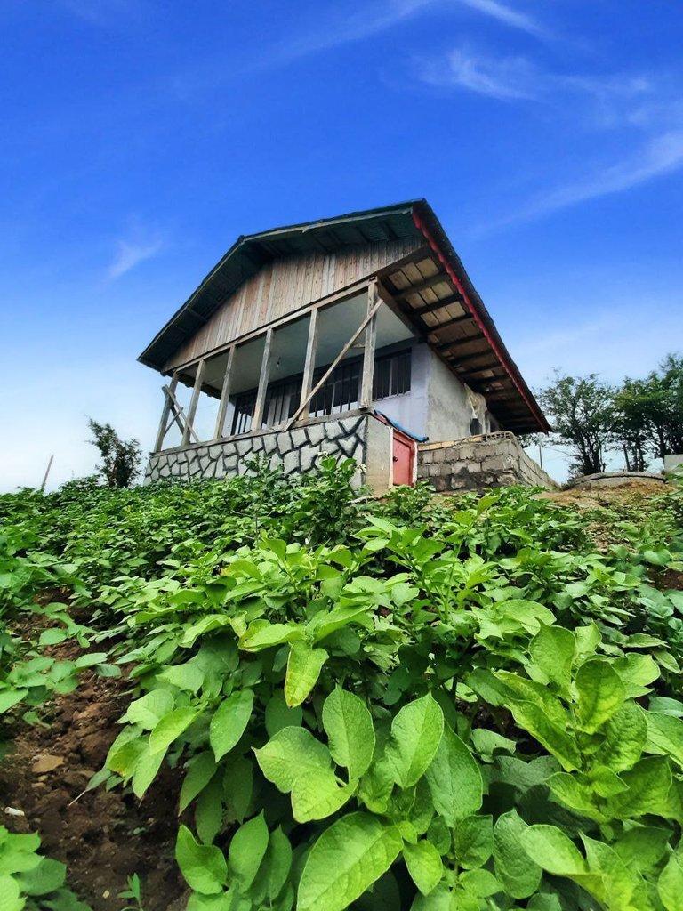 کلبه ویلا یک خواب شهروز