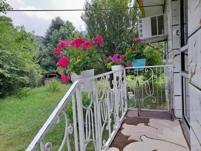 ویلا دوخوابه جنگلی پرواز