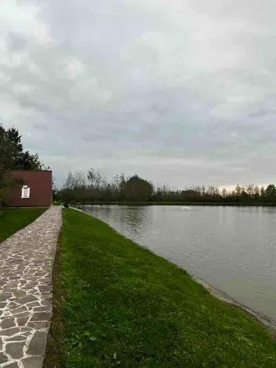 بومگردی شالیزه - واحد تی تی بان