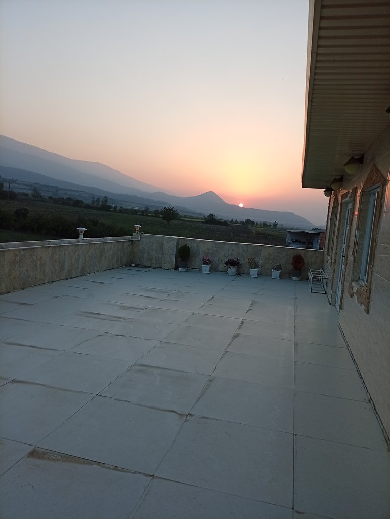 سوئیت فلت شموشک