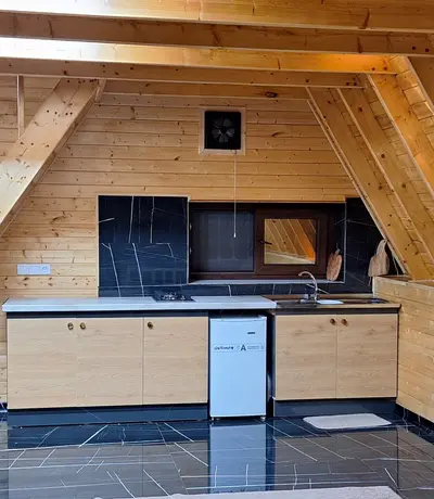 کلبه یک خوابه سوئیسی دوبلکس تاج