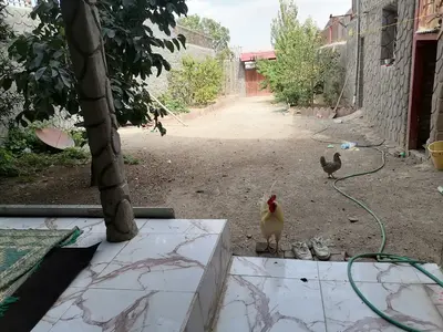 ویلا یک خوابه والا 1