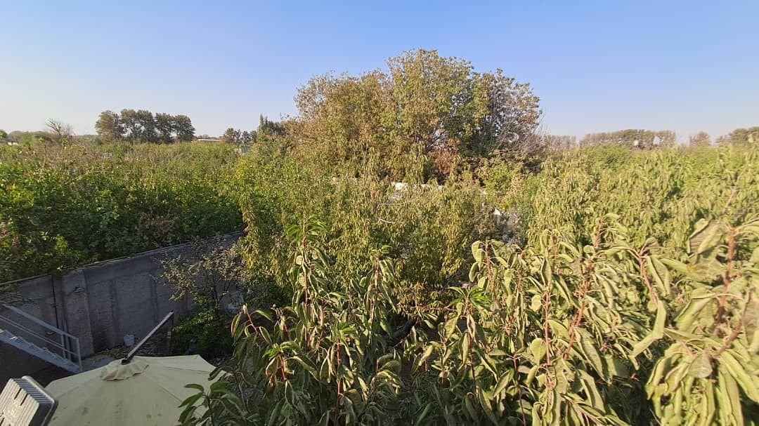 ویلا دوخوابه استخردار آبگرم باغ شکوفه خوشنام