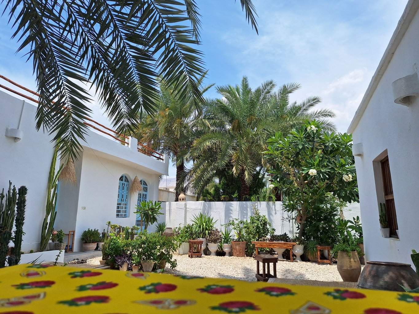 بومگردی سُکنا - واحد کوشی