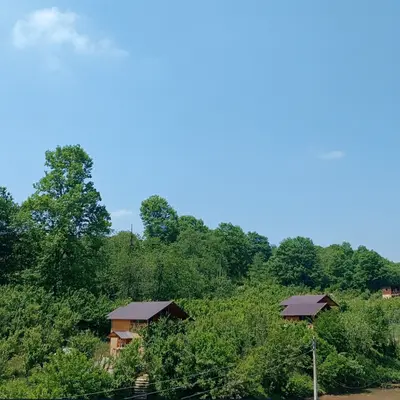 کلبه یک خوابه جنگلی تی تی سا 3