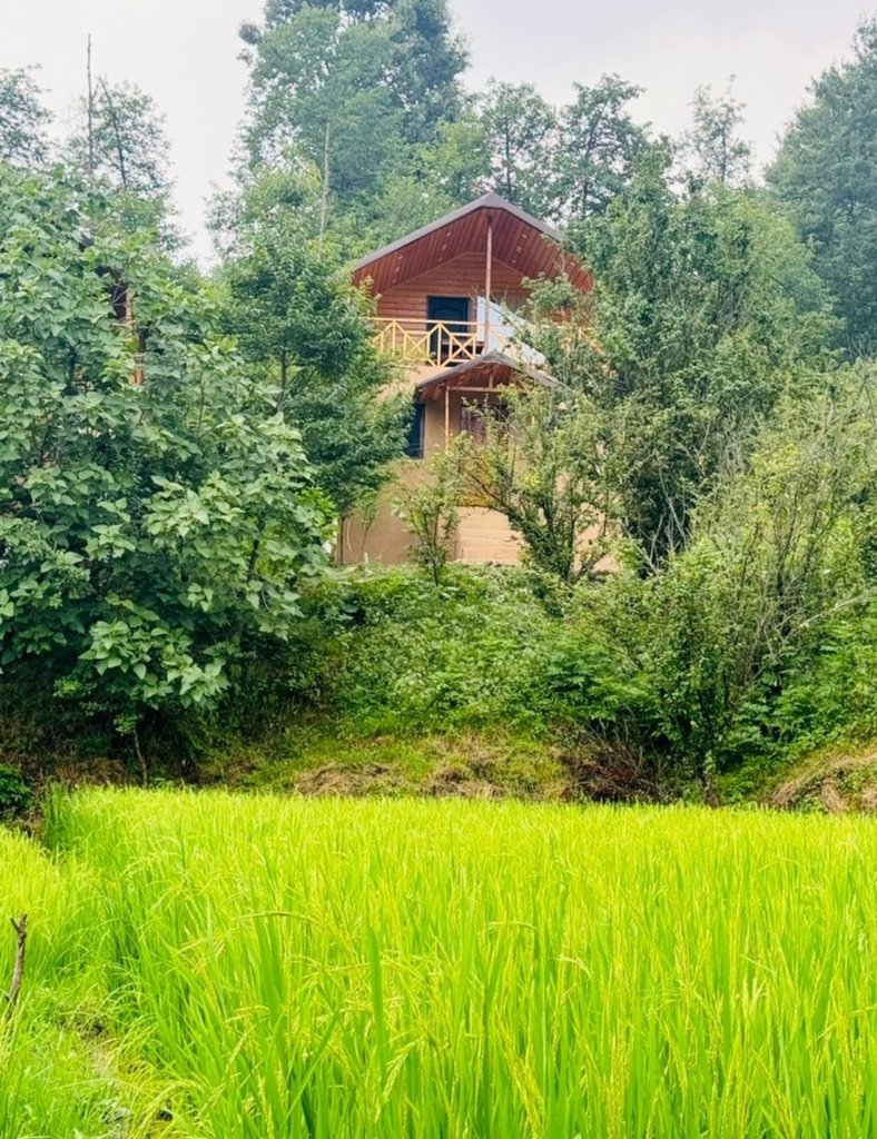 یک خوابه جنگلی تی تی سا 3