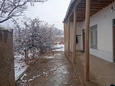 ویلا فلت ننه بطول