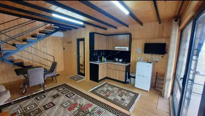 کلبه یک خوابه ساحلی چوبی الی 1