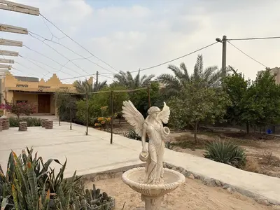 ویلا فلت گل کاغذی