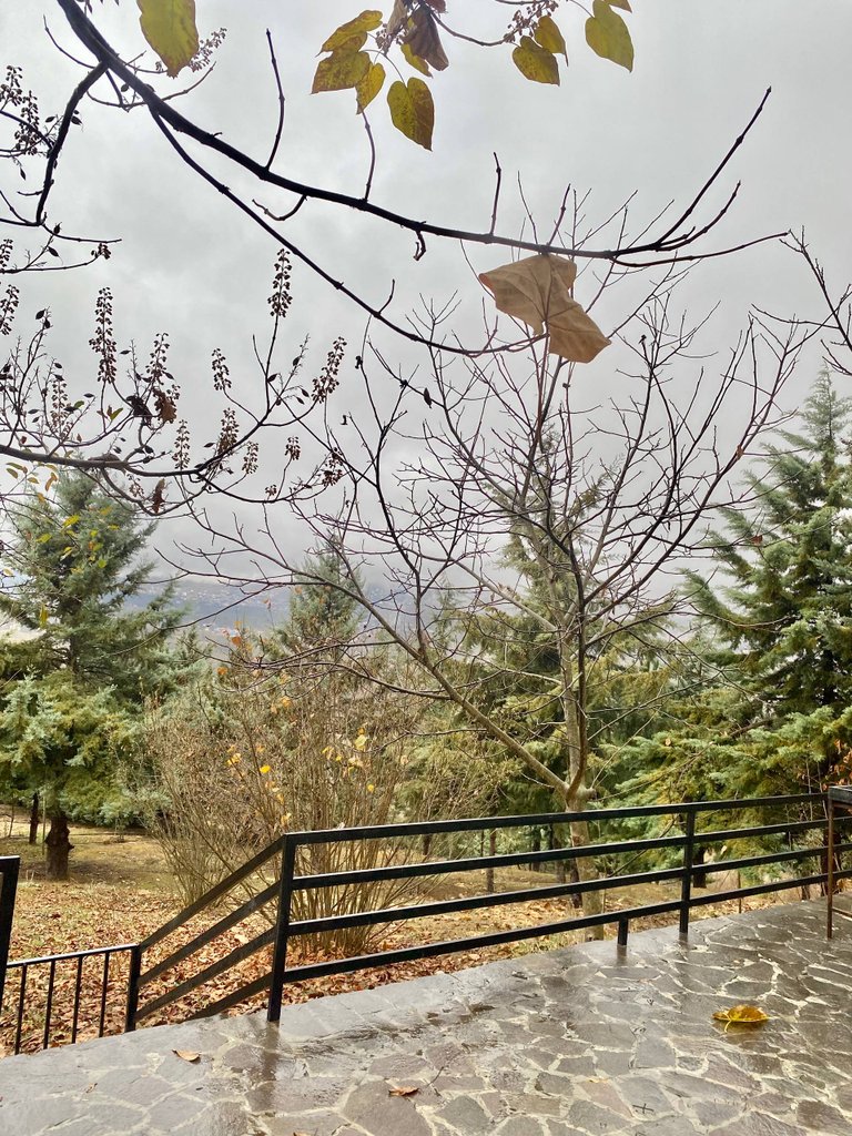 مجتمع اقامتگاهی یک خوابه  چناتر - رومینا