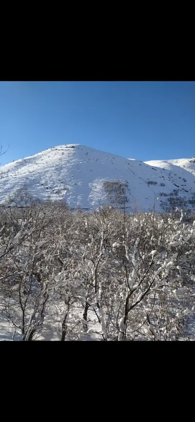 ویلا دوخوابه شمشیر