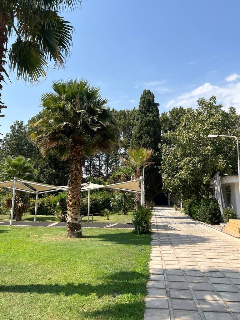 ویلا دوخوابه پالم رویال