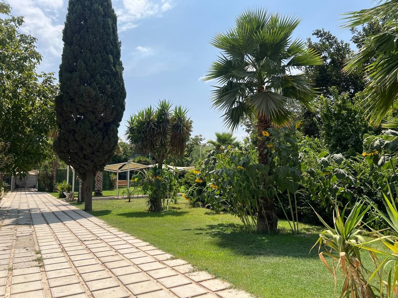 ویلا دوخوابه پالم رویال