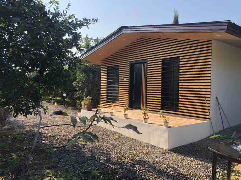 فلت جنگلی پرتقالی