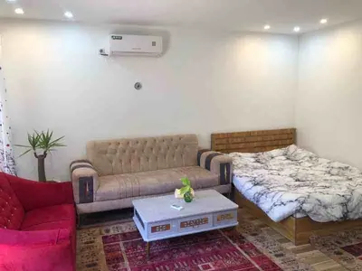 کلبه فلت جنگلی پرتقالی