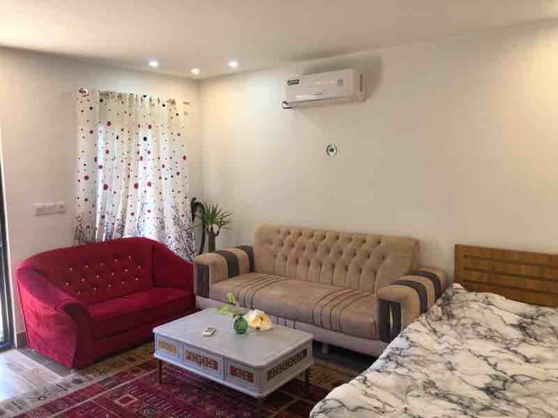 فلت جنگلی پرتقالی