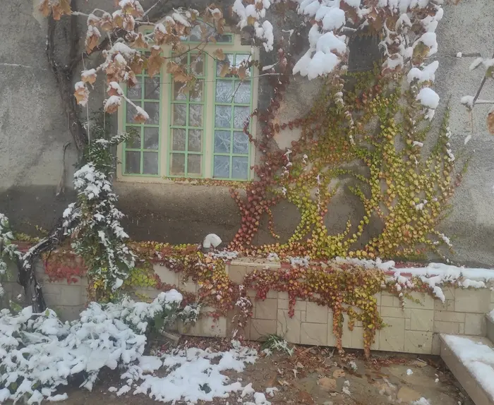 ویلا یک خوابه سکه