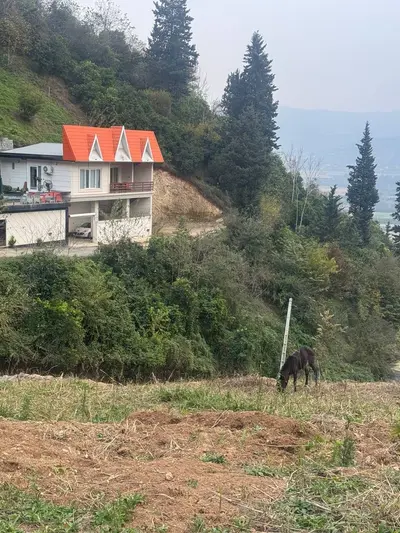 ویلا دوخوابه استخردارویوجنگل لفور