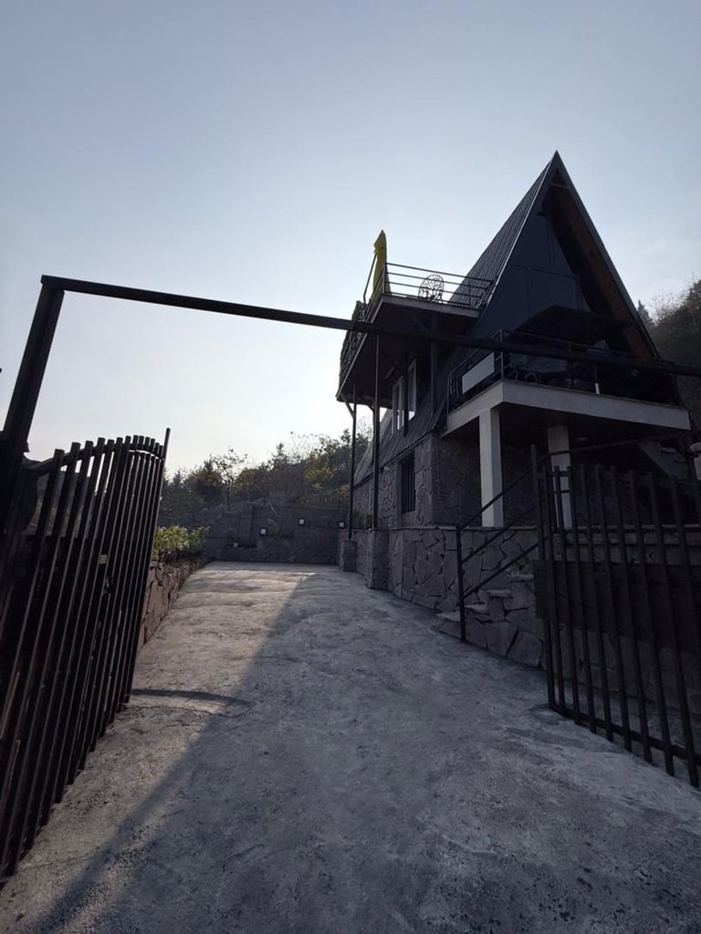 کلبه یک خوابه صنوبر 9