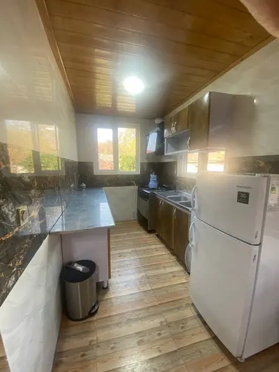 کلبه یک خوابه دوبلکس سوئیسی آریام