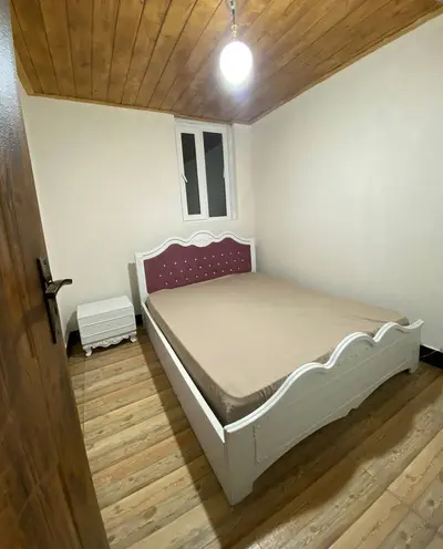 کلبه یک خوابه دوبلکس سوئیسی آریام