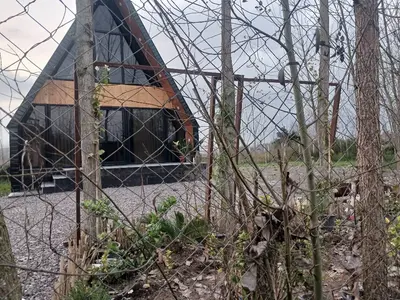 کلبه سوئیسی صنوبر