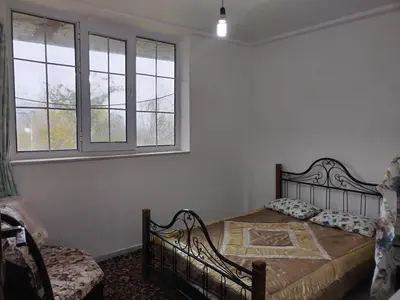 سوئیت یک خوابه جنگلی ذاکر