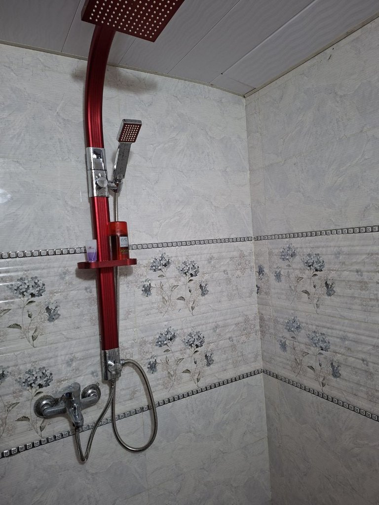 کلبه یک خوابه چوبی سوئیسی نارنجستان 1