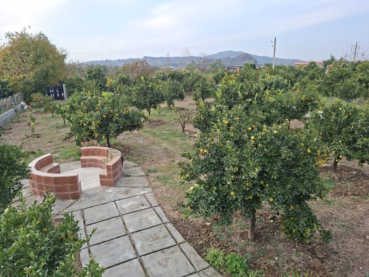 کلبه یک خوابه چوبی سوئیسی نارنجستان 1