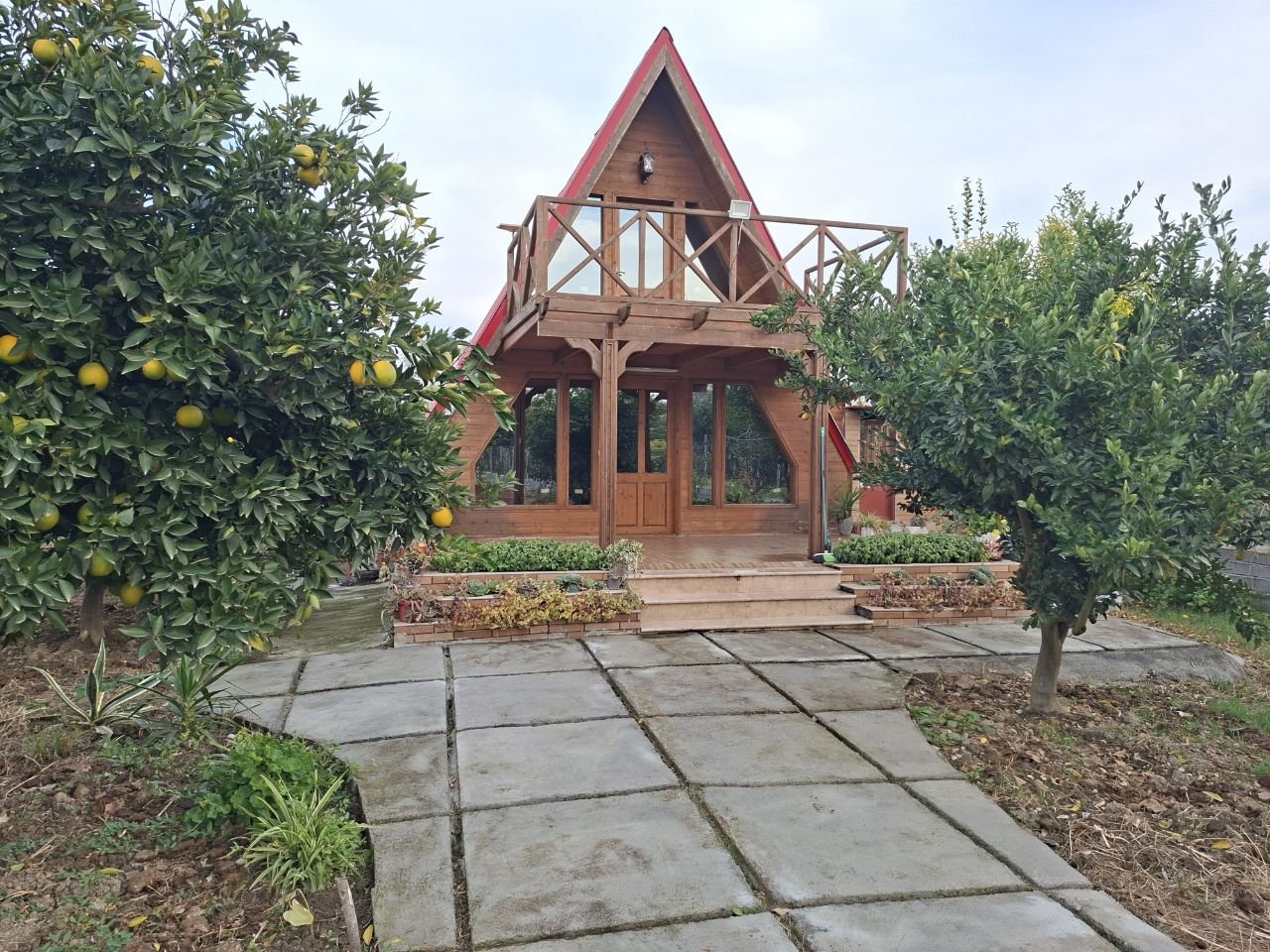 کلبه چوبی سوئیسی در منطقه بکر شیرگاه