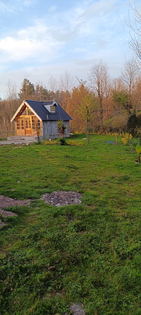 کلبه یک خوابه  دوبلکس چوبی پویا