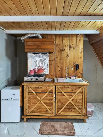 کلبه یک خوابه دوبلکس سوئیسی دل انگیز ونوشه